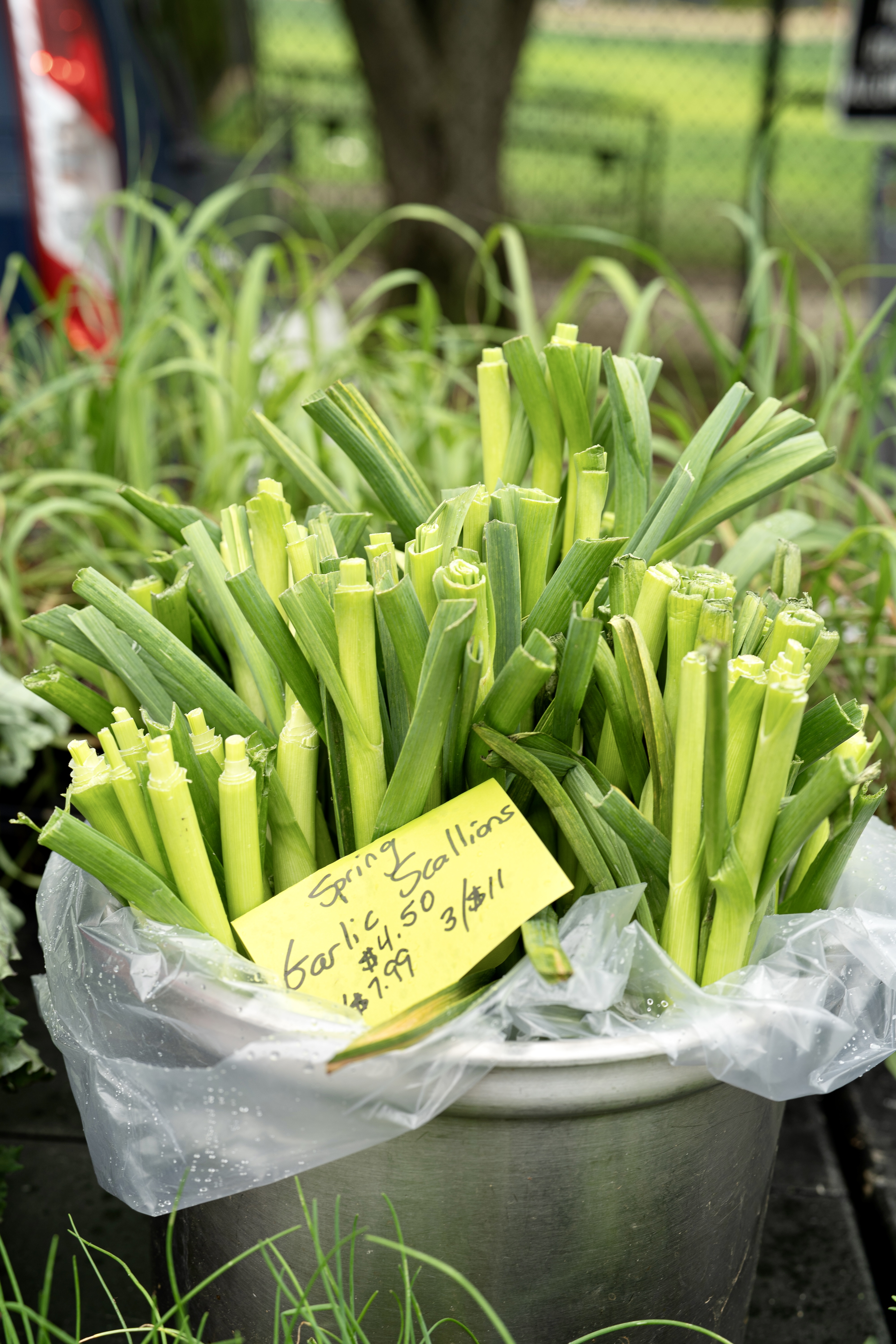 Farmers market product photography