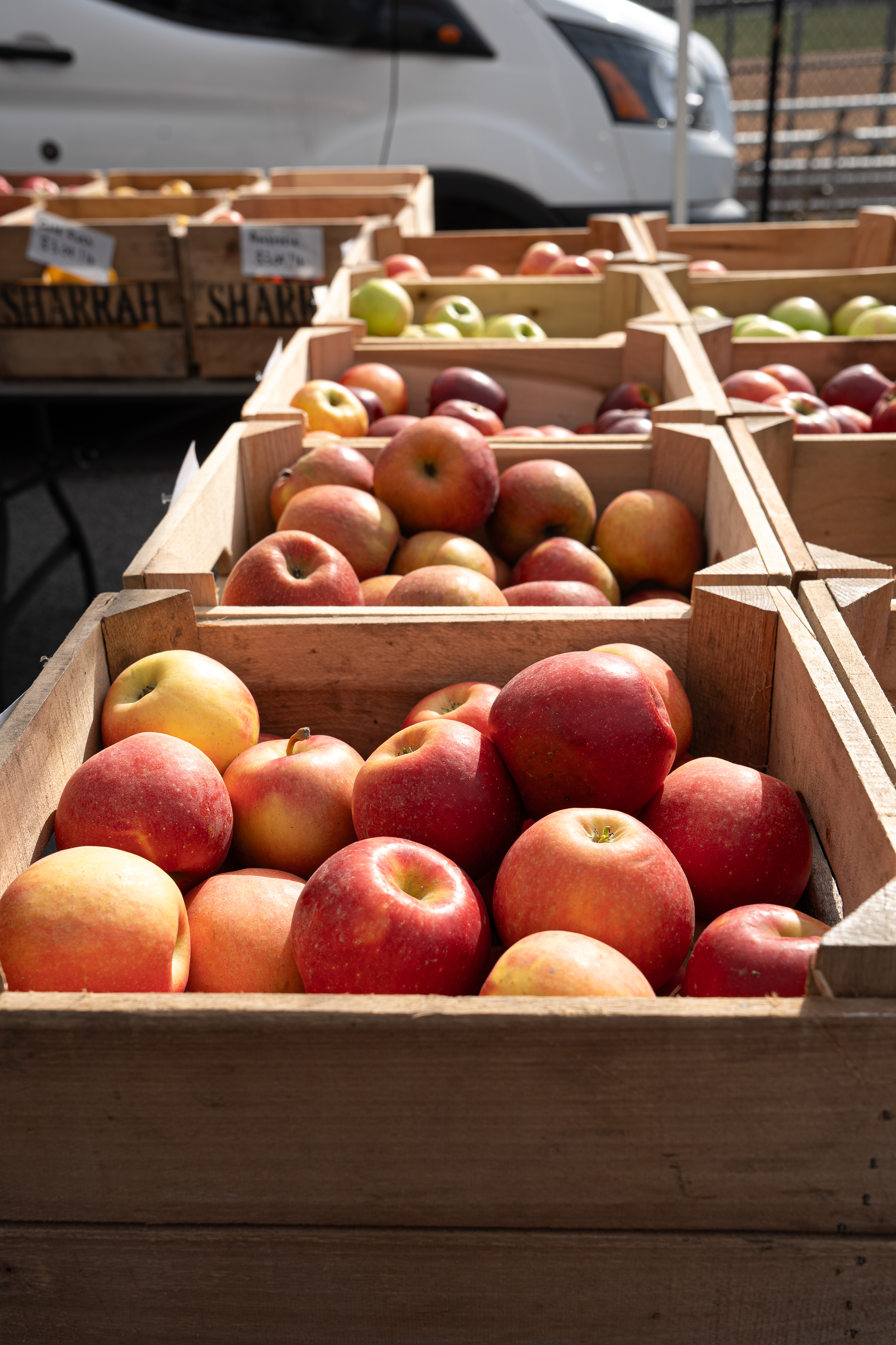 Farmers market product photography