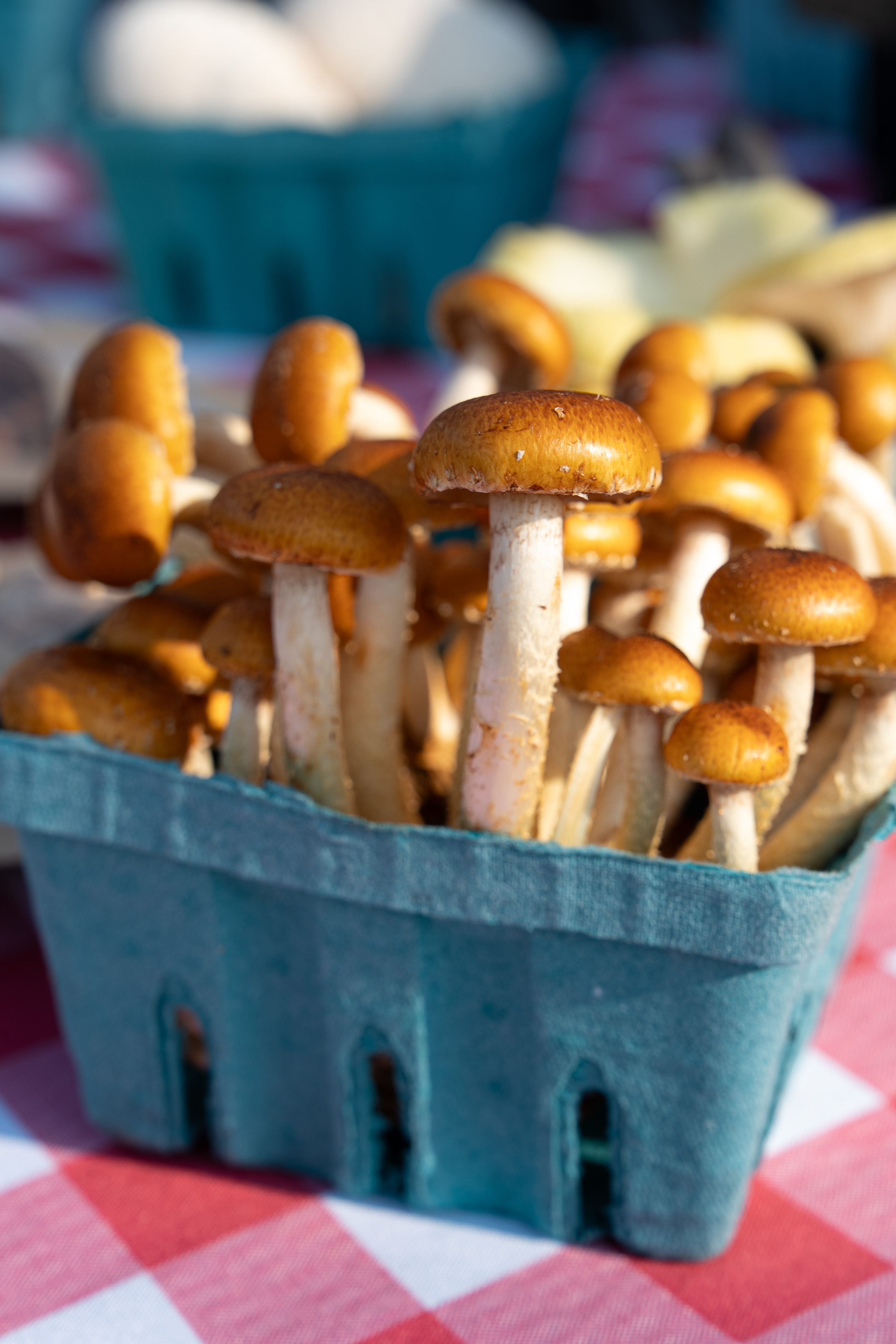 Farmers market product photography