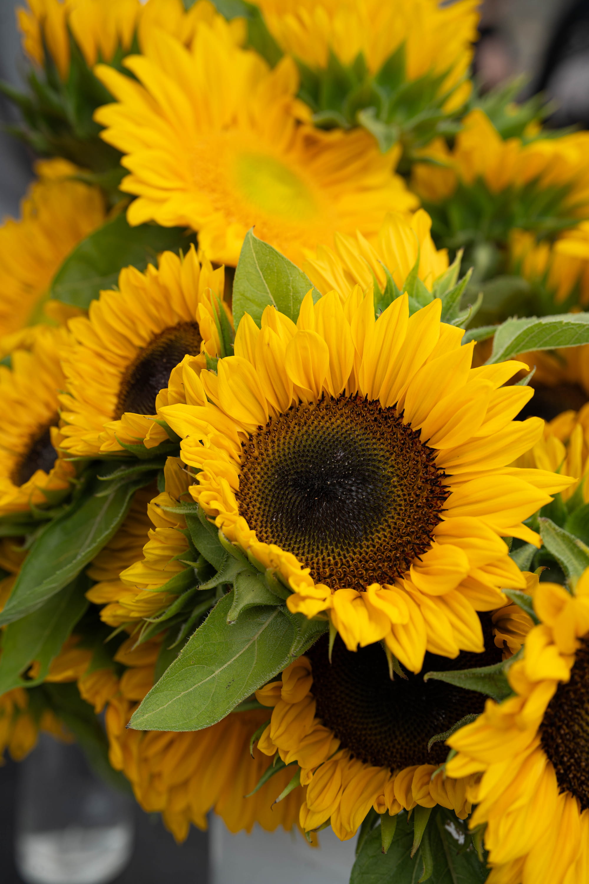 Farmers market product photography